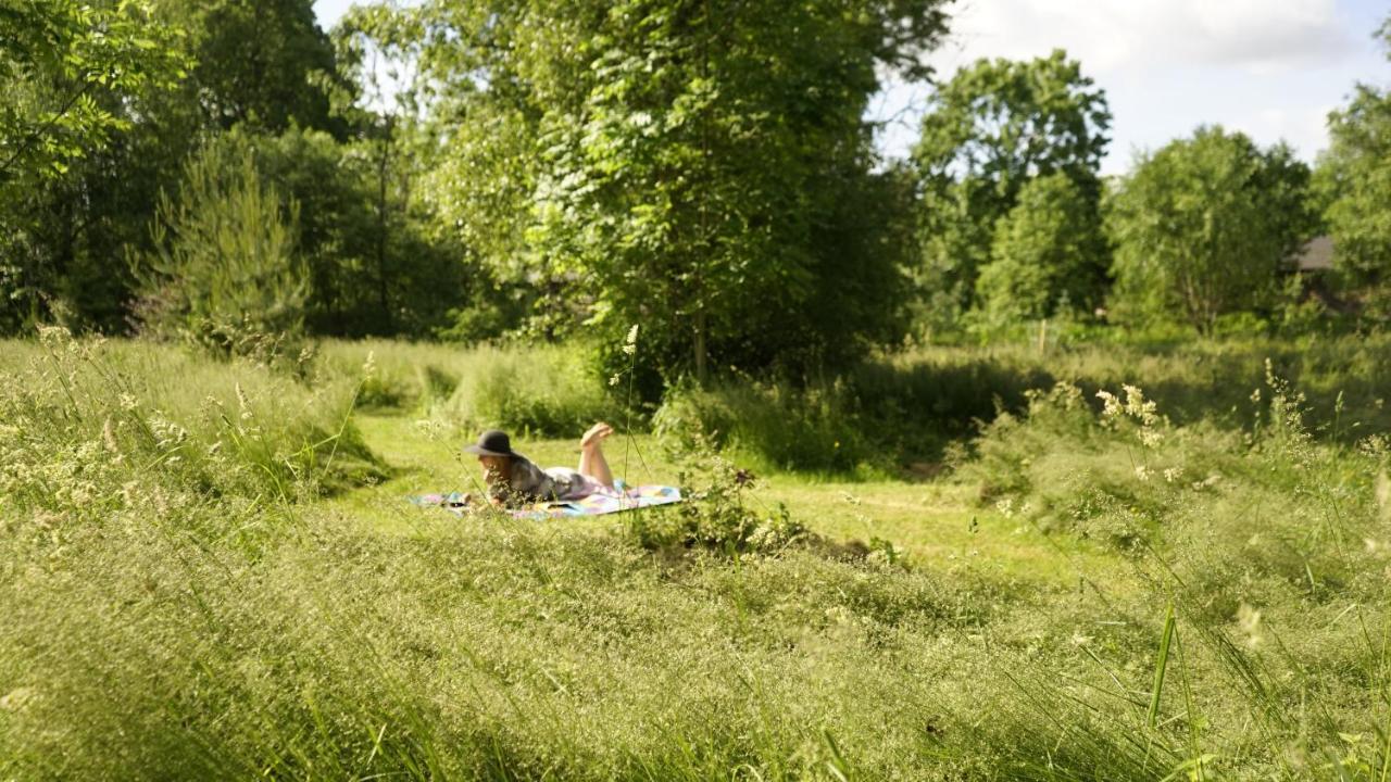 Uneallika Puhkemaja-Kuelalistemaja Pae Esterno foto