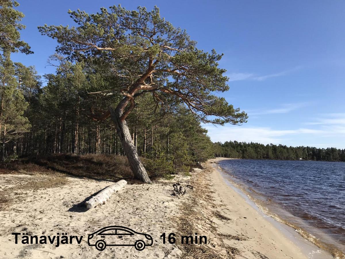 Uneallika Puhkemaja-Kuelalistemaja Pae Esterno foto